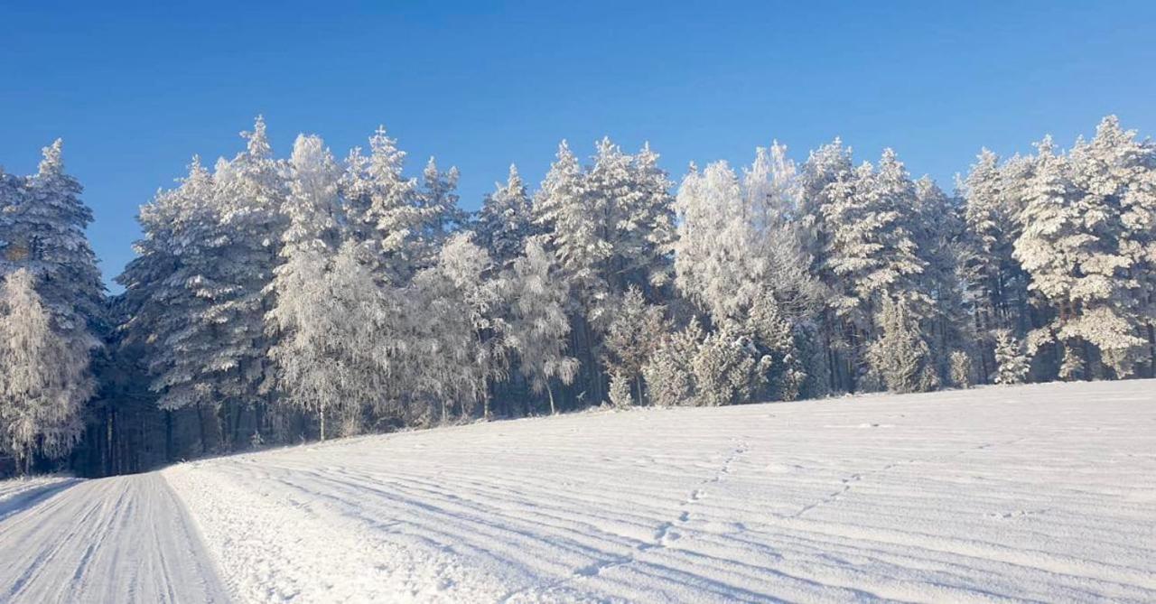 Ostoja Bukowo 12,2 Chata U Szoltesa Borowy Mlyn Exterior foto